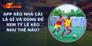App Kèo Nhà Cái