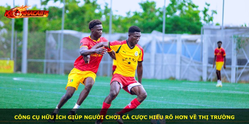 Công cụ hữu ích giúp người chơi cá cược hiểu rõ hơn về thị trường