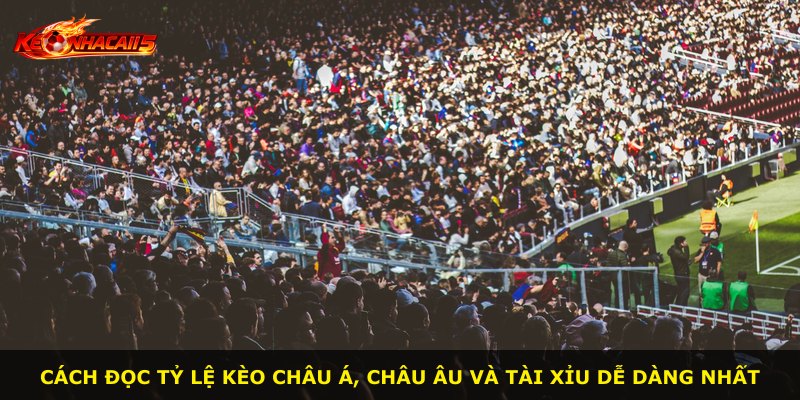 Cách đọc tỷ lệ kèo châu Á, châu Âu và tài xỉu dễ dàng nhất