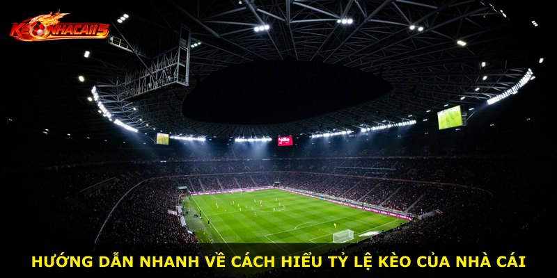 Hướng dẫn nhanh về cách hiểu tỷ lệ kèo của nhà cái