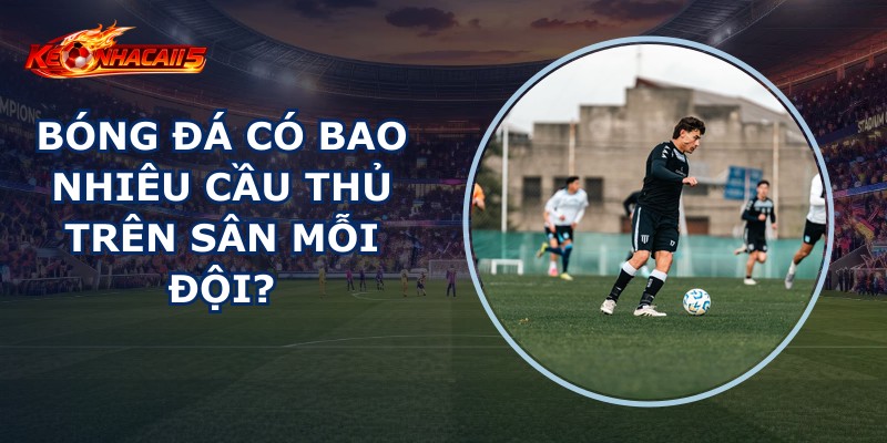 Bóng Đá Có Bao Nhiêu Cầu Thủ