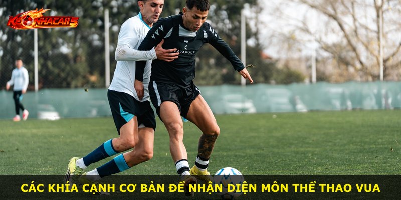 Các khía cạnh cơ bản để nhận diện môn thể thao vua