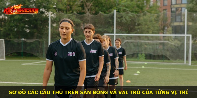 Sơ đồ các cầu thủ trên sân bóng và vai trò của từng vị trí
