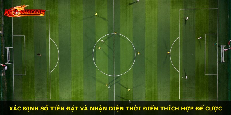 Xác định số tiền đặt và nhận diện thời điểm thích hợp để cược