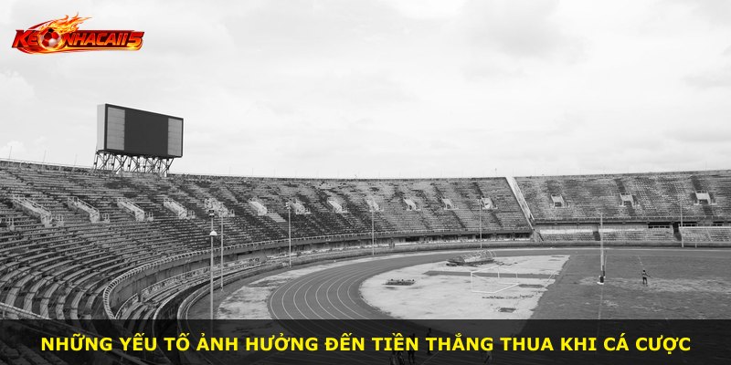 Những yếu tố ảnh hưởng đến tiền thắng thua khi cá cược