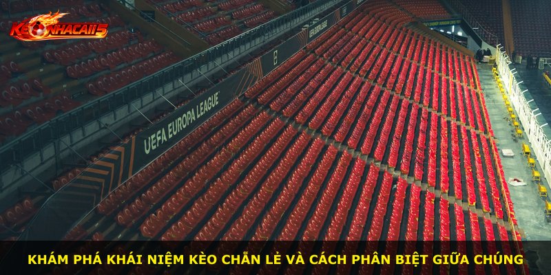 Khám phá khái niệm kèo chẵn lẻ và cách phân biệt giữa chúng