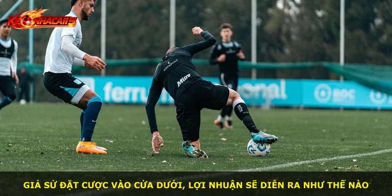 Giả sử đặt cược vào cửa dưới, lợi nhuận sẽ diễn ra như thế nào