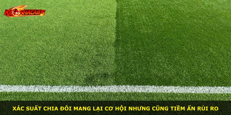 Xác suất chia đôi mang lại cơ hội nhưng cũng tiềm ẩn rủi ro