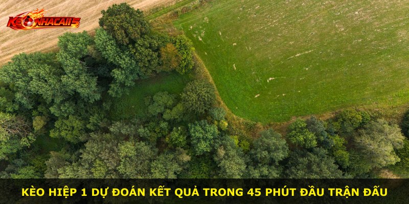 Kèo Hiệp 1 dự đoán kết quả trong 45 phút đầu trận đấu