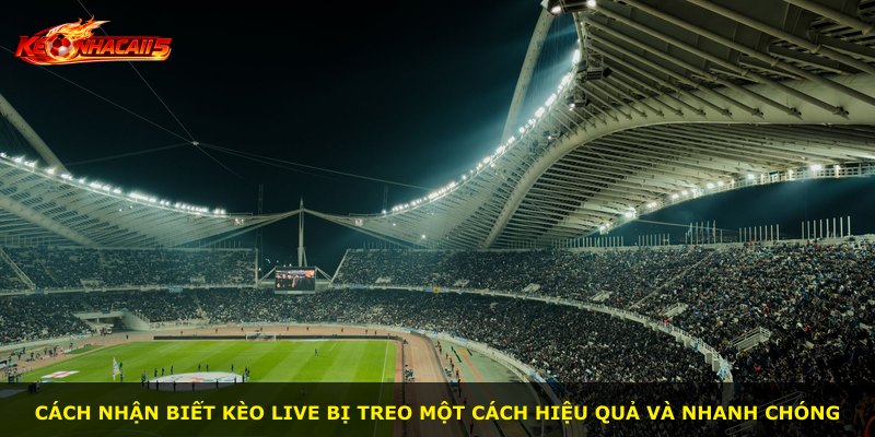 Cách nhận biết kèo live bị treo một cách hiệu quả và nhanh chóng