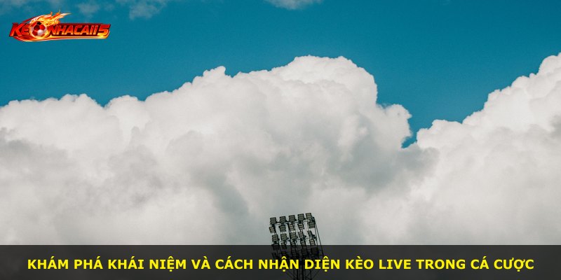 Khám phá khái niệm và cách nhận diện kèo live trong cá cược