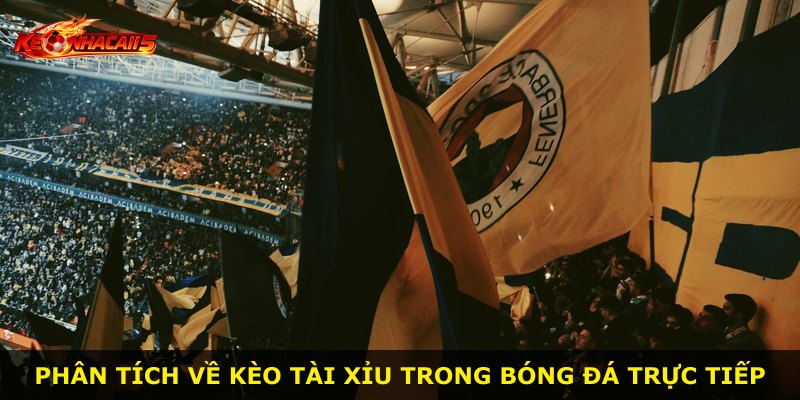 Phân tích về kèo tài xỉu trong bóng đá trực tiếp
