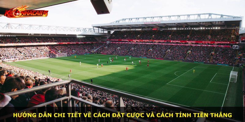 Hướng dẫn chi tiết về cách đặt cược và cách tính tiền thắng