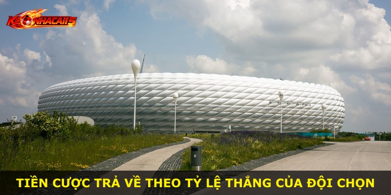 Tiền cược trả về theo tỷ lệ thắng của đội chọn