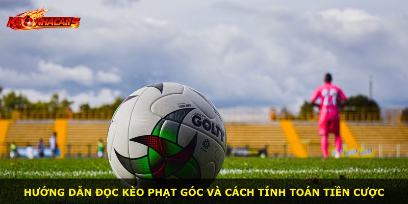 Hướng dẫn đọc kèo phạt góc và cách tính toán tiền cược