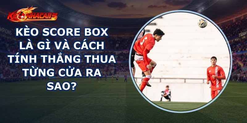 Kèo Score Box
