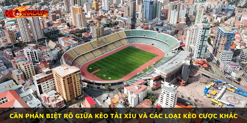 Cần phân biệt rõ giữa kèo Tài Xỉu và các loại kèo cược khác
