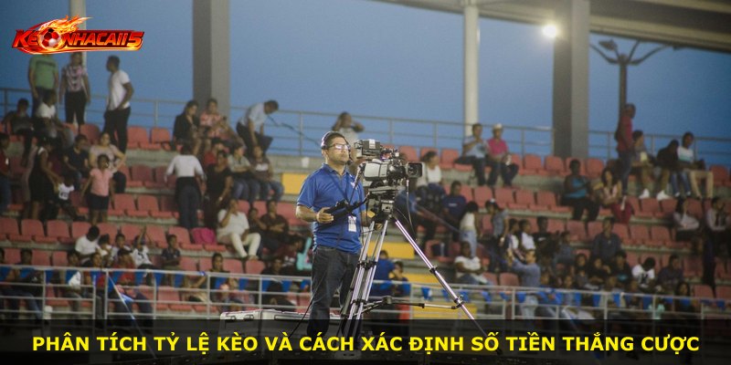 Phân tích tỷ lệ kèo và cách xác định số tiền thắng cược