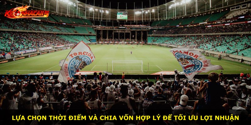 Lựa chọn thời điểm và chia vốn hợp lý để tối ưu lợi nhuận