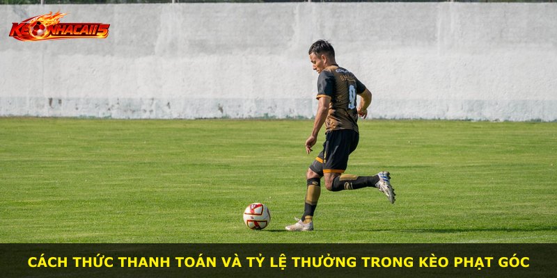 Cách thức thanh toán và tỷ lệ thưởng trong kèo phạt góc