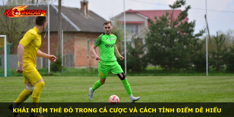 Khái niệm thẻ đỏ trong cá cược và cách tính điểm dễ hiểu