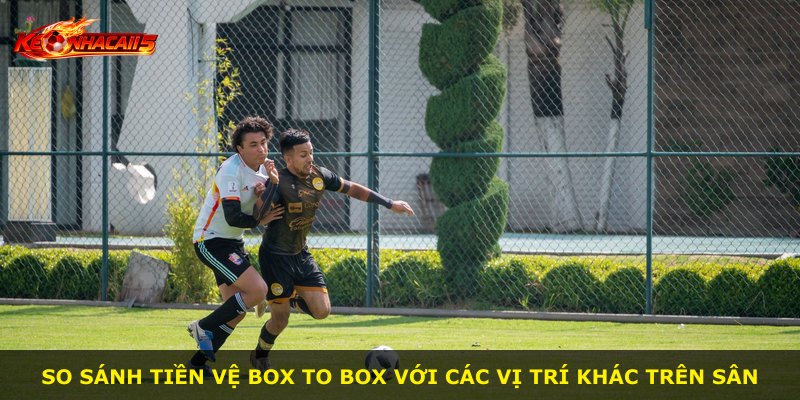 So sánh tiền vệ box to box với các vị trí khác trên sân
