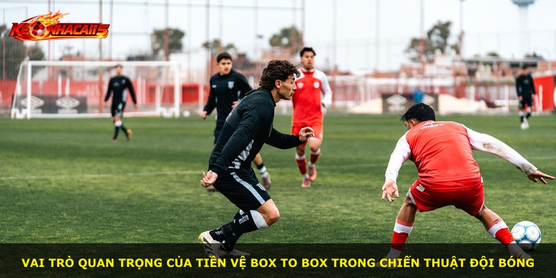 Vai trò quan trọng của tiền vệ box to box trong chiến thuật đội bóng