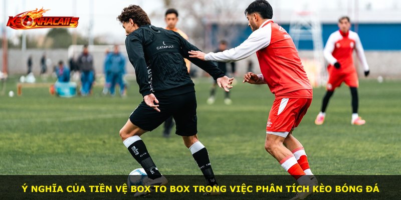 Ý nghĩa của tiền vệ box to box trong việc phân tích kèo bóng đá