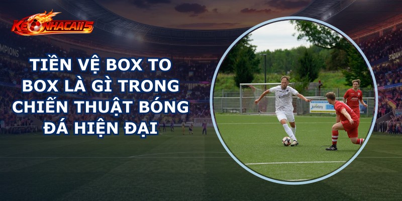 Tiền Vệ Box To Box Là Gì