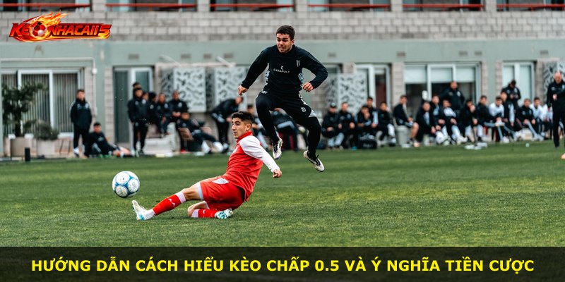 Hướng dẫn cách hiểu kèo chấp 0.5 và ý nghĩa tiền cược