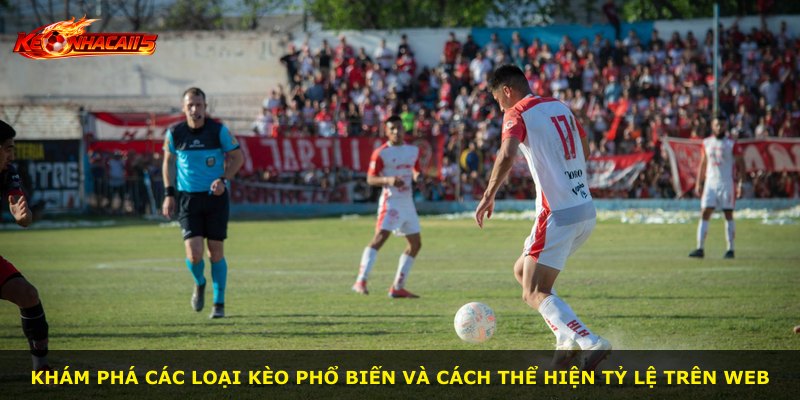 Khám phá các loại kèo phổ biến và cách thể hiện tỷ lệ trên web